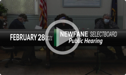 Newfane Selectboard: Newfane Public Hearing 2/28/21