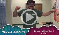 West River Valley Thrives: Impairment Goggles - Whimsical PSA