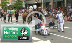 Strolling of the Heifers Parade 2017: 6/2/18