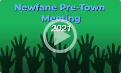 Newfane Town Meeting: Newfane Selectboard Informational Meeting 3/1/21