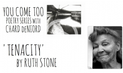 'Tenacity' by Ruth Stone (You Come Too Poetry Series)