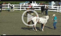 More Horse Pulls - Guilford Fair 2016