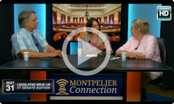 Montpelier Connection: 5/31/16 in Studio - VT Senate Wrap-Up