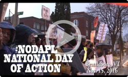 No DAPL National Day of Action in Brattleboro 11/15/16