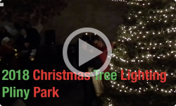 Christmas Tree Lighting at Pliny Park 12/23/18