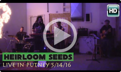 Birthday Party with the Heirloom Seeds - Putney, VT 5/14/16