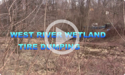 West River Wetland - Tire Dumping (2018)