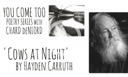 'Cows at Night' by Hayden Carruth (You Come Too Poetry Series)