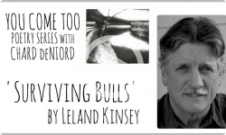'Surviving Bulls' by Leland Kinsey (You Come Too Poetry Series)