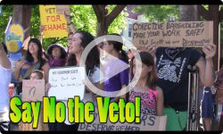 Say No to the Veto! Rally in Pliny Park 6/7/17