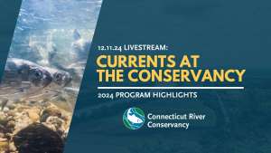 Currents at the Conservancy: 2024 River Highlights LiveStream