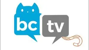 Brattleboro Cat Television: Windham County Humane Society Cat Room